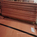 Hot Selling 99.9% Pure Grade Copper Cathode with Factory